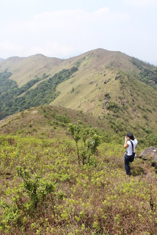 India 2010 - Coorg - Honey Valley - Trek towards Tadiandamol - Ridge Walk